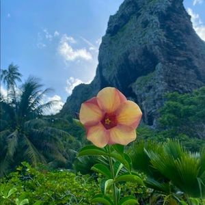 Meet your Posher, Darlene